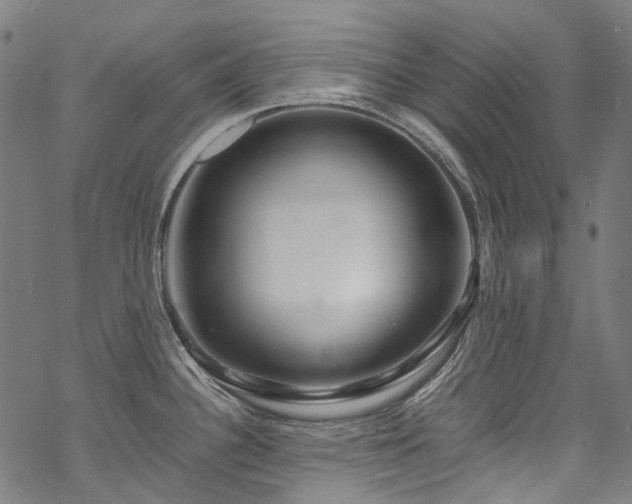 X0000070211340200605301353