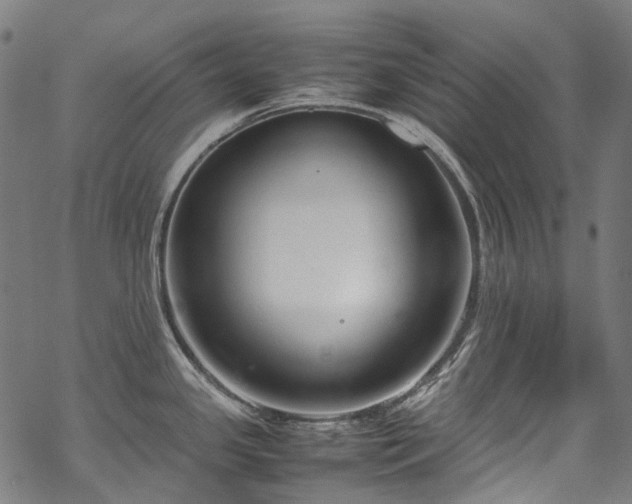 X0000070211341200605301353