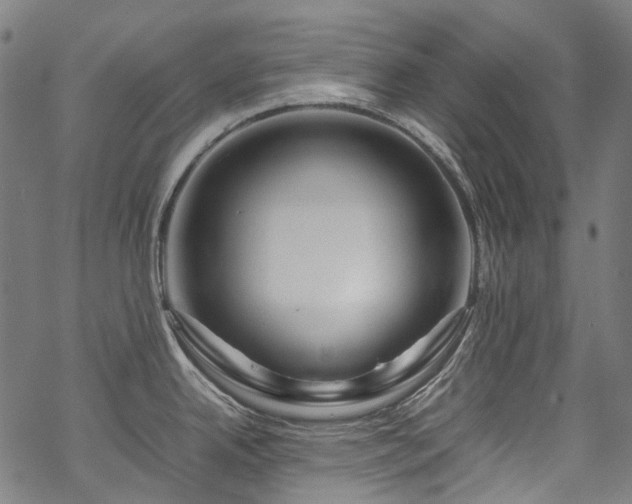 X0000070211342200605301353