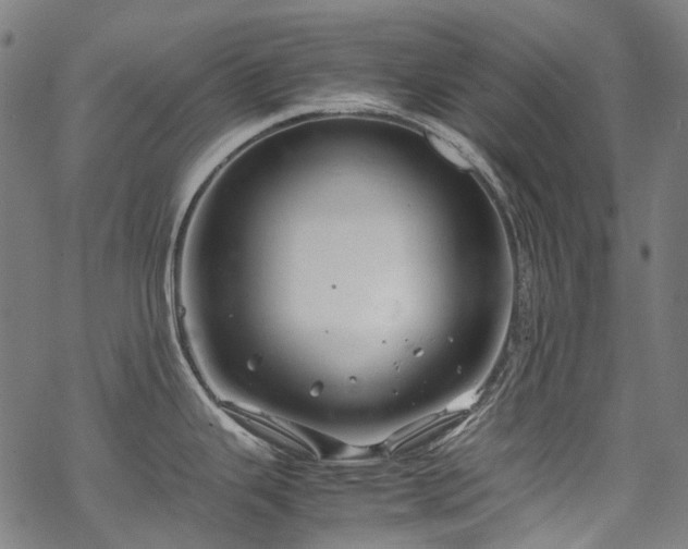 X0000070211343200605301353