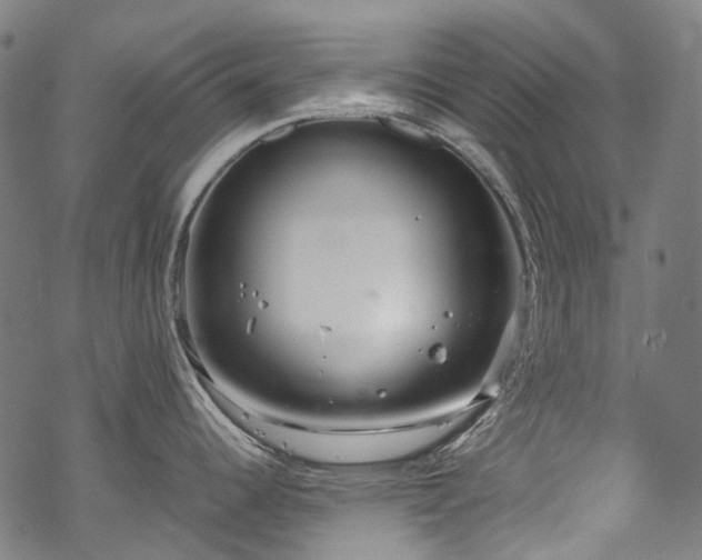 X0000070211344200605301353