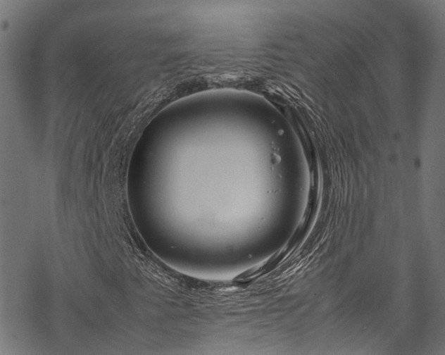 X0000070211345200605301352