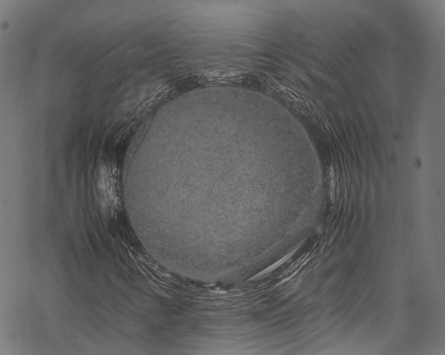 X0000070211346200605301352