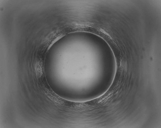 X0000070211348200605301352