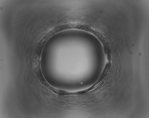 X0000070211349200605301352