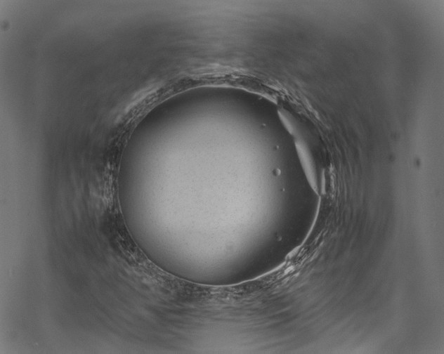 X0000070211350200605301352