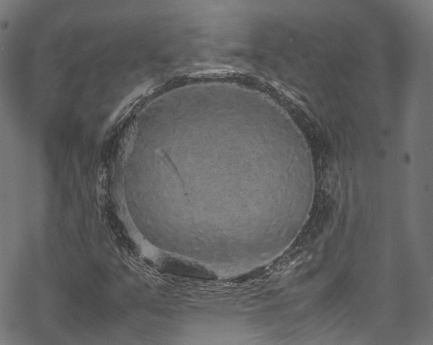 X0000070211351200605301352