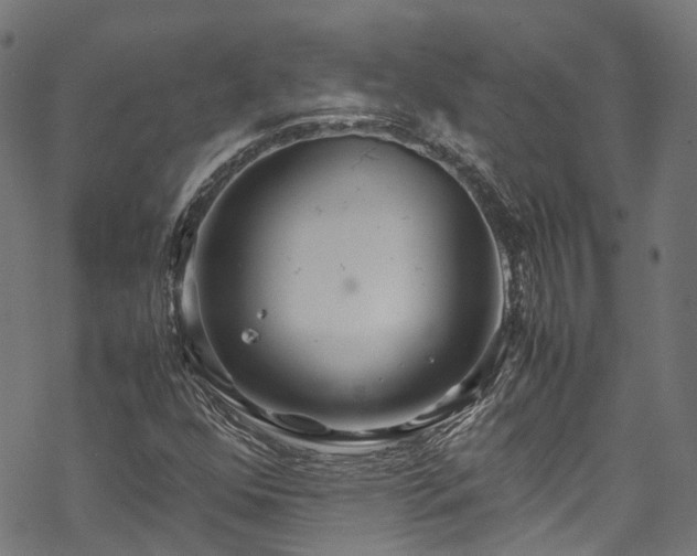 X0000070211352200605301352