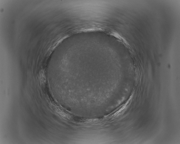 X0000070211353200605301352