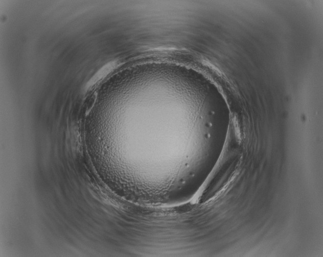 X0000070211354200605301352