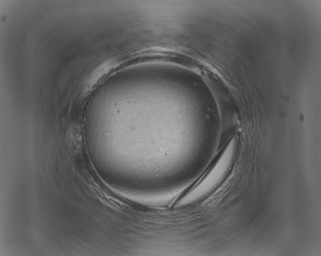 X0000070211355200605301352