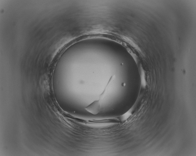 X0000070211356200605301352