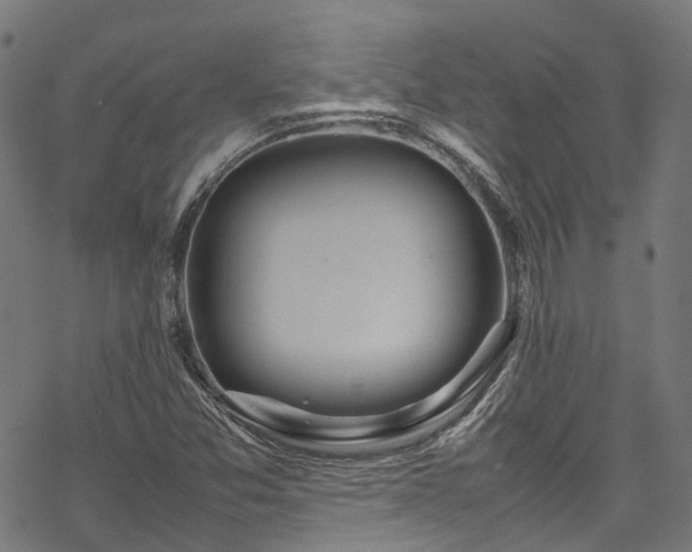 X0000070211357200605301352