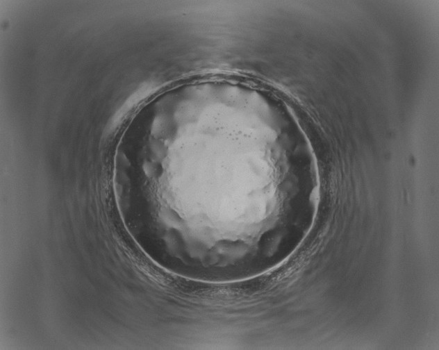 X0000070211359200605301352