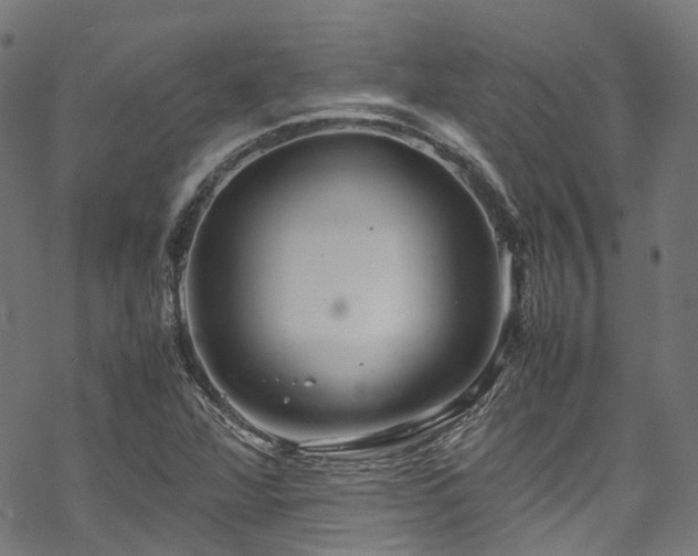 X0000070211360200605301352