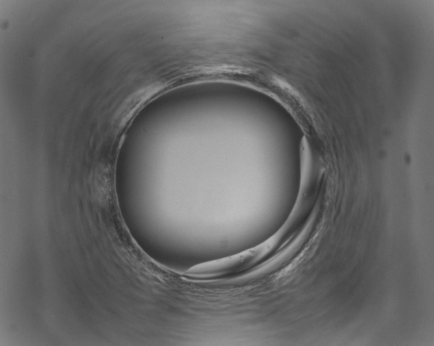 X0000070211361200605301352