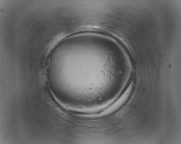 X0000070211363200605301352