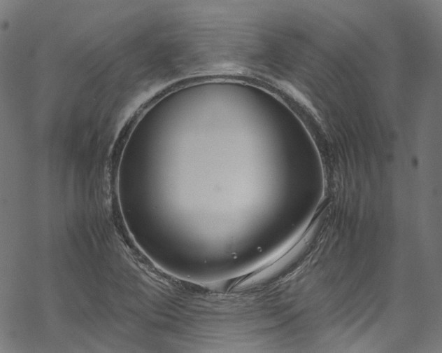 X0000070211364200605301352