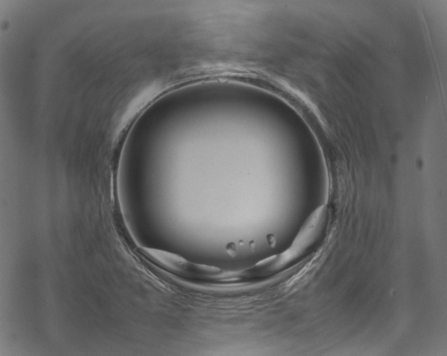 X0000070211365200605301352