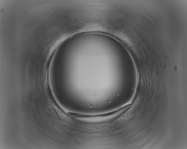 X0000070211366200605301352