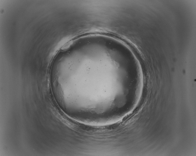 X0000070211367200605301352