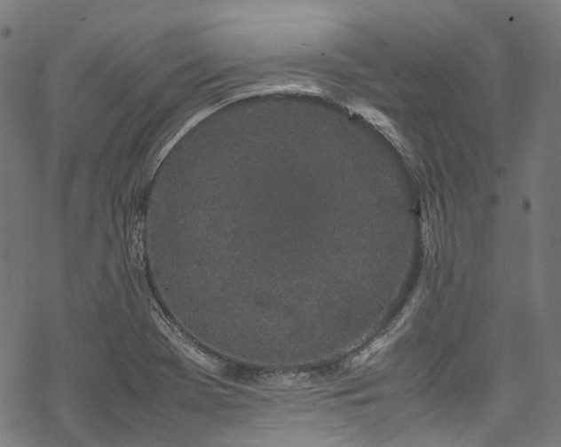 X0000070211369200605301352