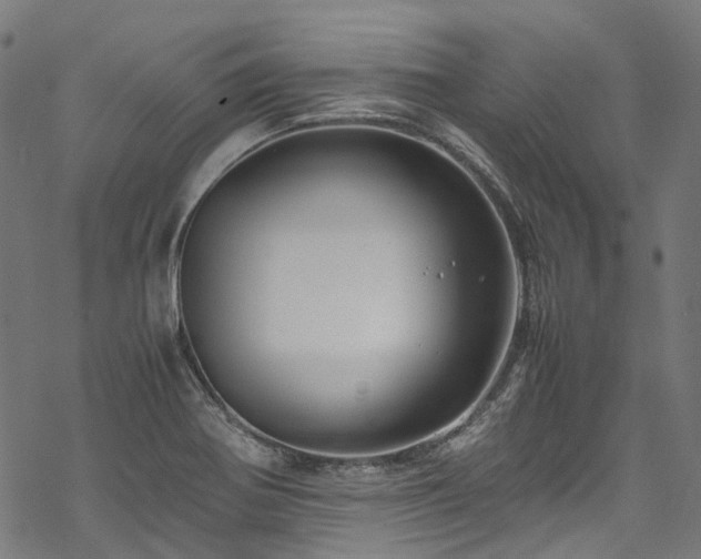 X0000070211370200605301352