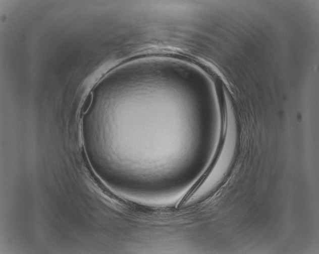 X0000070211371200605301352