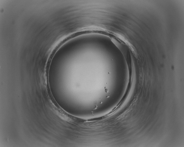 X0000070211372200605301352