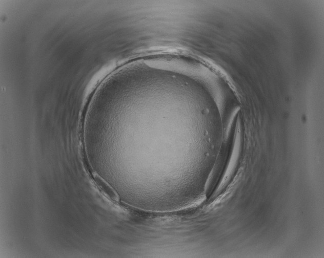 X0000070211373200605301352