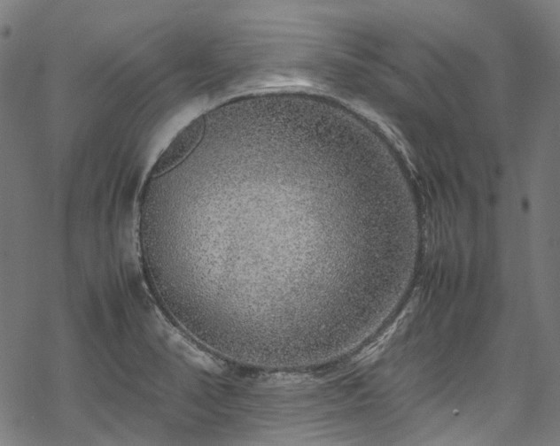 X0000070211374200605301352