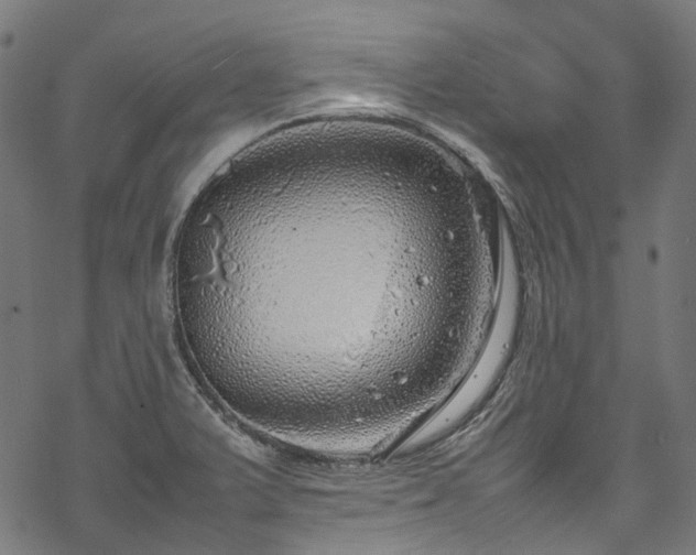 X0000070211375200605301352