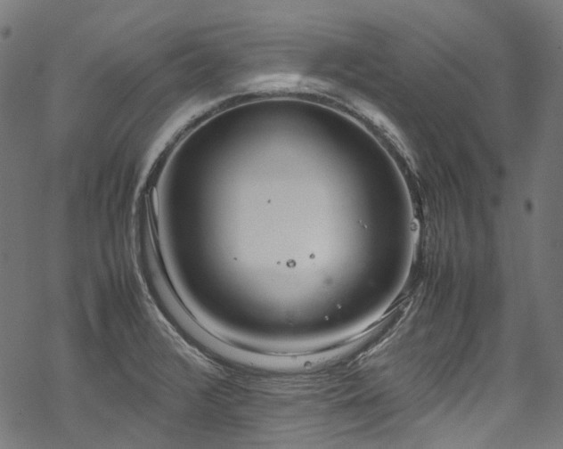 X0000070211376200605301352