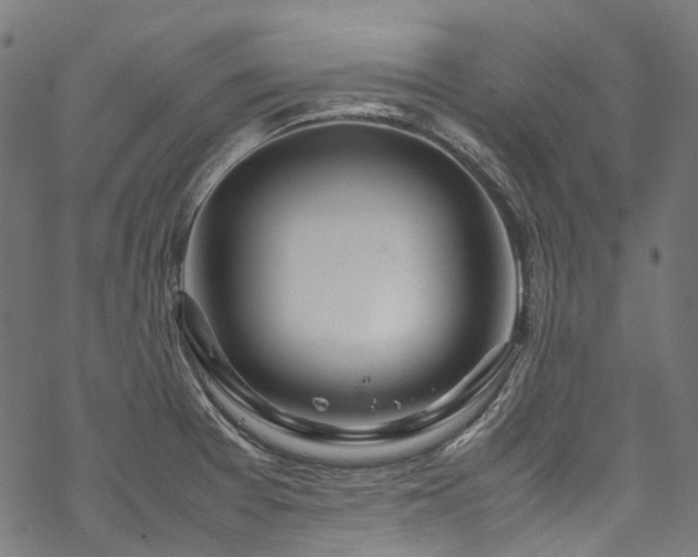 X0000070211377200605301352