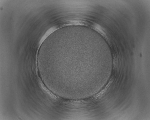 X0000070211378200605301352