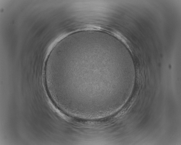 X0000070211379200605301352