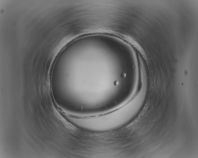 X0000070211380200605301352