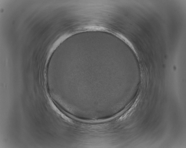 X0000070211381200605301352