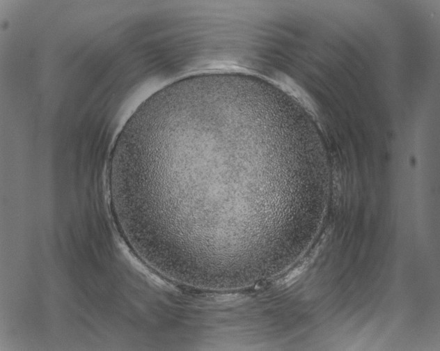 X0000070211382200605301351