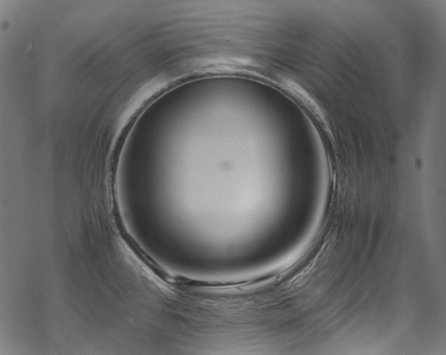 X0000070211384200605301351