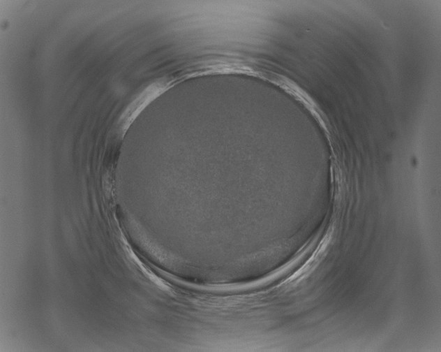 X0000070211385200605301351