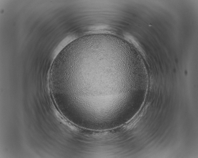 X0000070211386200605301351