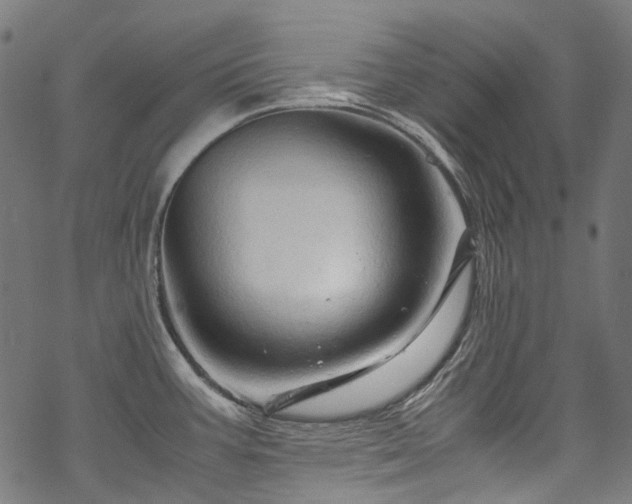 X0000070211387200605301351