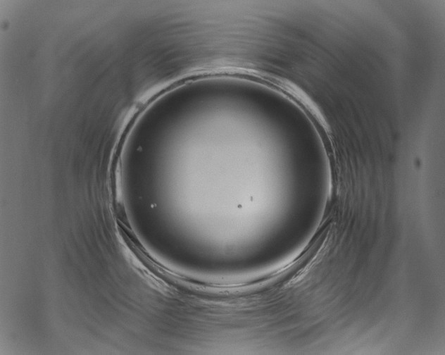 X0000070211388200605301351