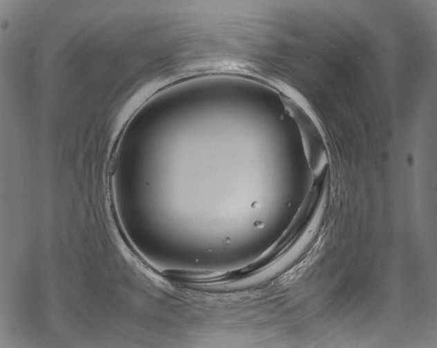 X0000070211389200605301351