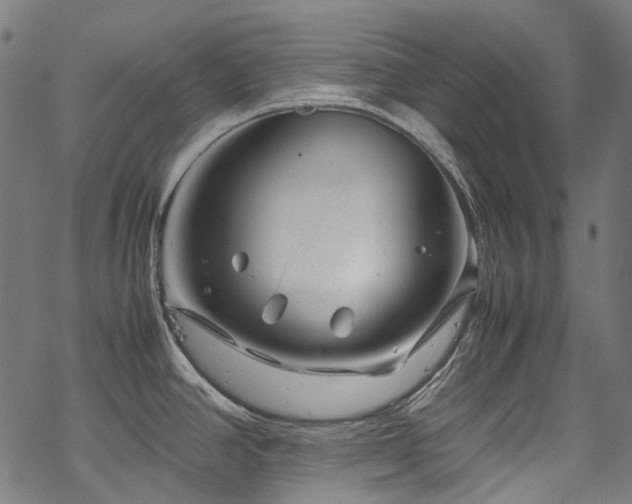 X0000070211390200605301351