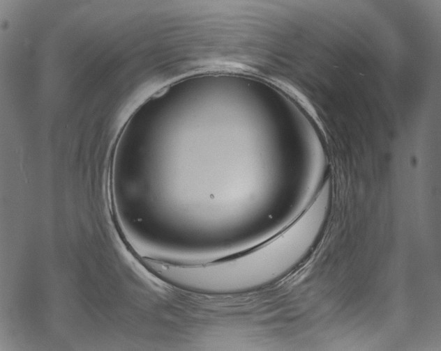 X0000070211391200605301351