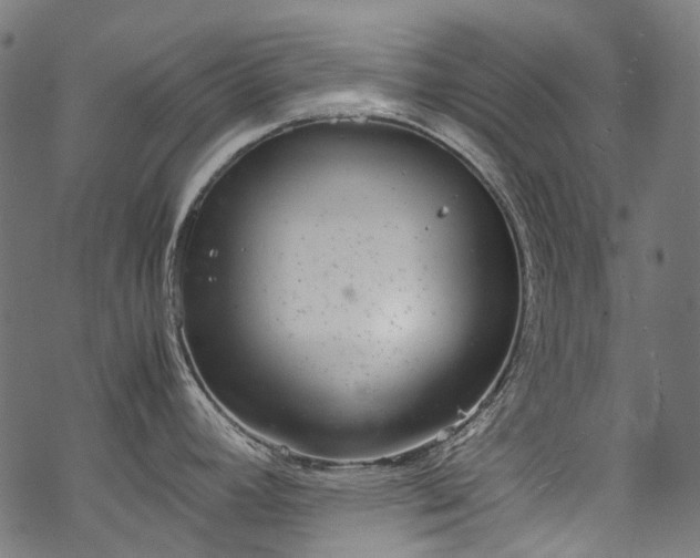 X0000070211392200605301351