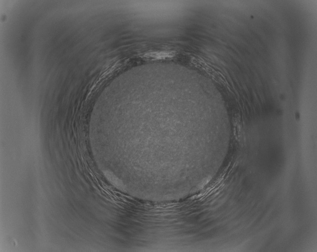 X0000070211393200605301351