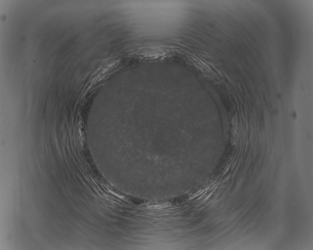 X0000070211394200605301351